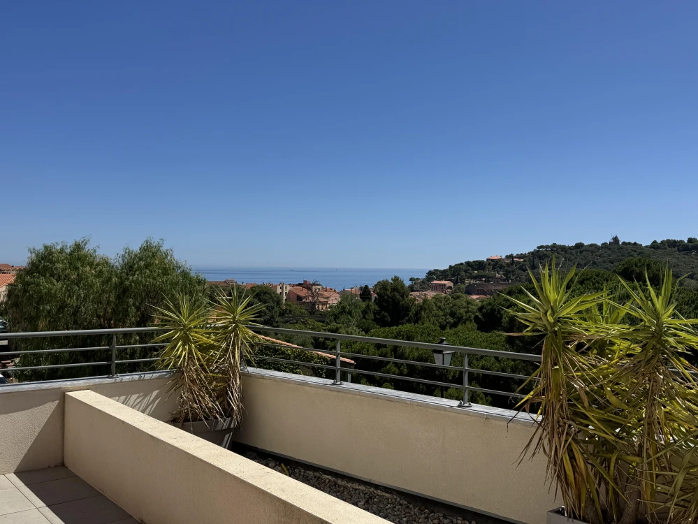 appartement  3 pièces Collioure vue mer